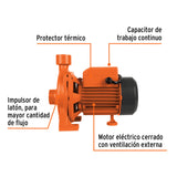 BOMBA CENTRMFUGA PARA AGUA MODELO EUROPEO, 1/4 HP, EXPERT