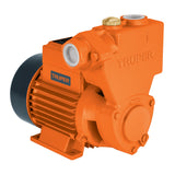 BOMBA PERIFERICA AUTOCEBANTES 11A 1HP