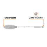 BROCA PLANA (MANITA) DE 1/2'