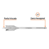 BROCA PLANA (MANITA) DE 3/4'