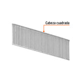 CLAVO PARA CLAVADORA NEUMÁTICA, USO RUDO, 1'