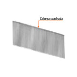 CLAVO PARA CLAVADORA NEUMÁTICA, USO RUDO, 1-1/4'
