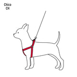 CORREA PARA PERRO CON PECHERA, 1 CM