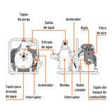 MOTOBOMBA AUTOCEBANTE 1X1, 1-1/2 HP, A GASOLINA TRUPER