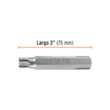 ESTUCHE CON 3 PUNTAS BRISTOL M12 LARGO 3', TRUPER EXPERT